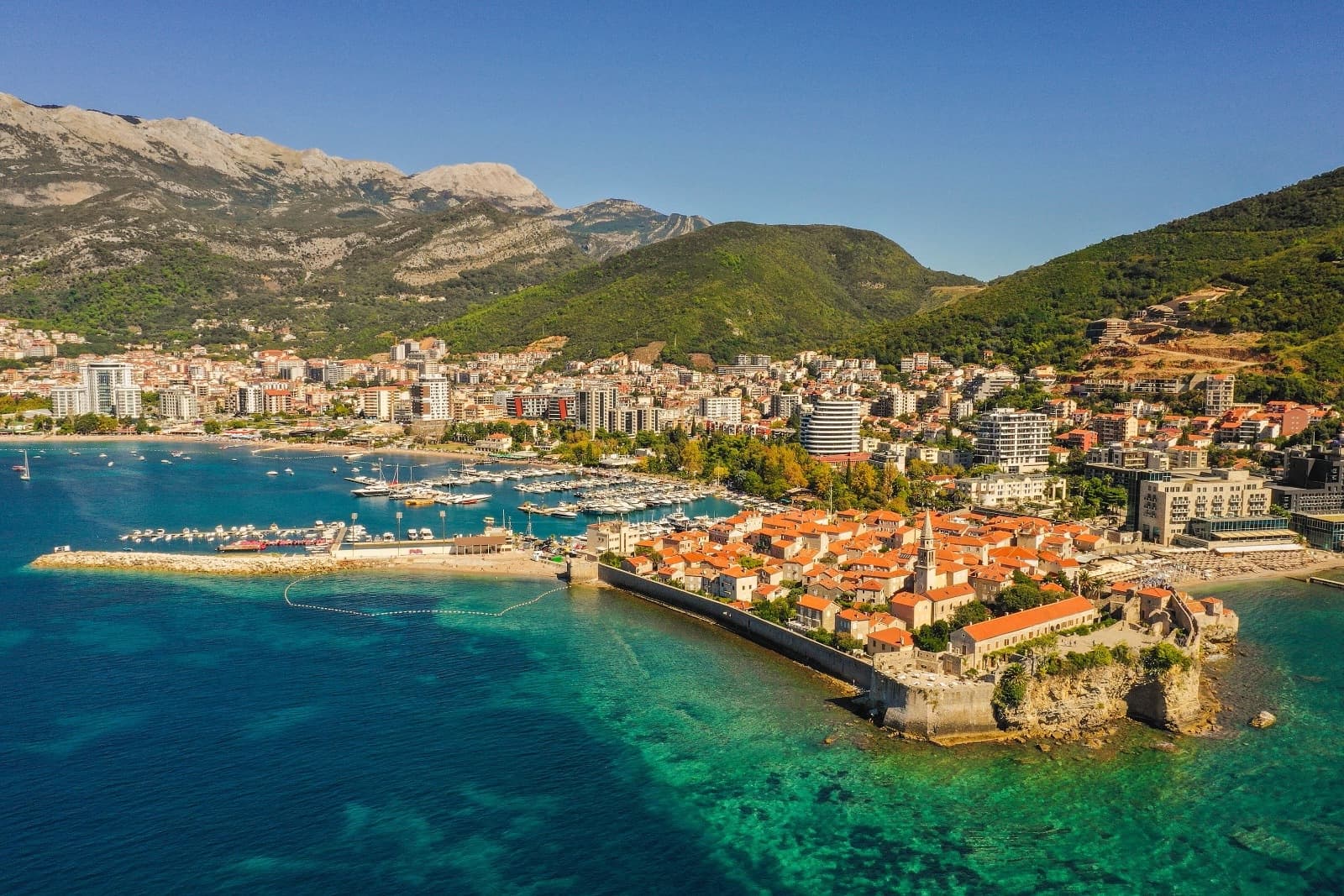 Contact Pro Travel and Tourism